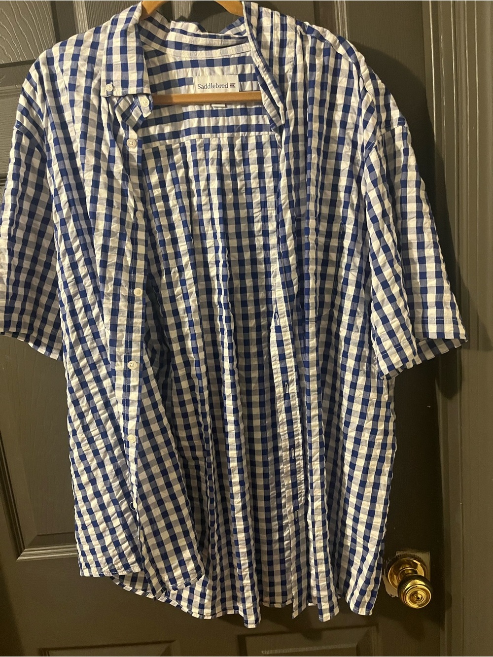 Saddlebred Blue and White Gingham Short-Sleeve Button-Down Shirt